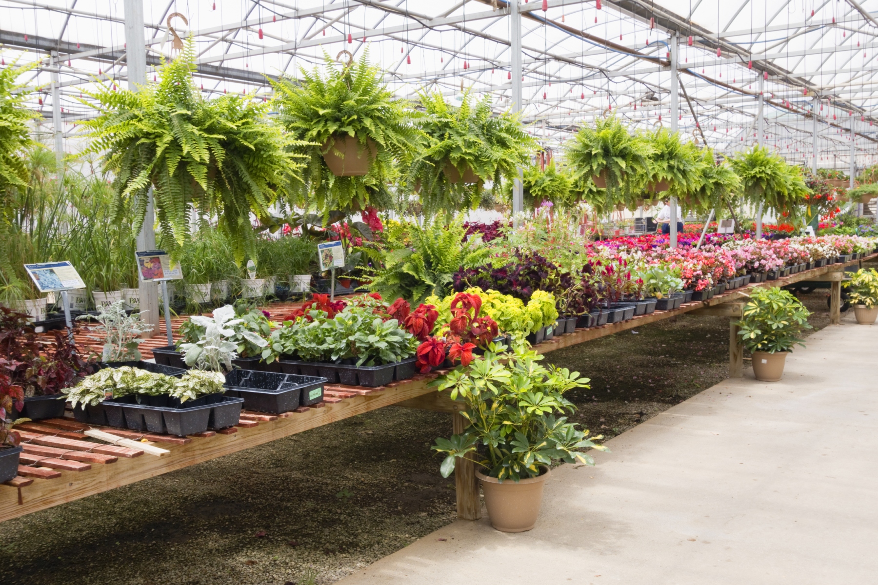 There are a variety of nurseries and garden centers in the area to help you cultivate a thriving home garden