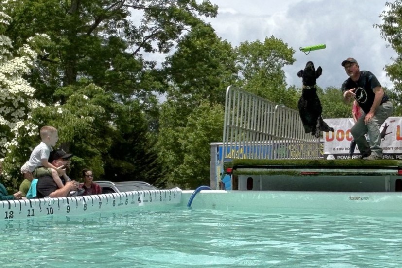 A dog shows off its leaping skills during a "dock jumping" event during the fall 2023 edition of Dog Day Afternoon at Lake Julian Park in Arden.