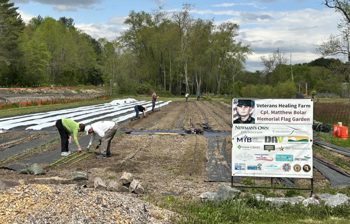 A crew cooperates to prepare the gardens on Wednesday, April 24, at the Veterans Healing Farm in Henderson County. The farm needs help to find land and funding for a new home.