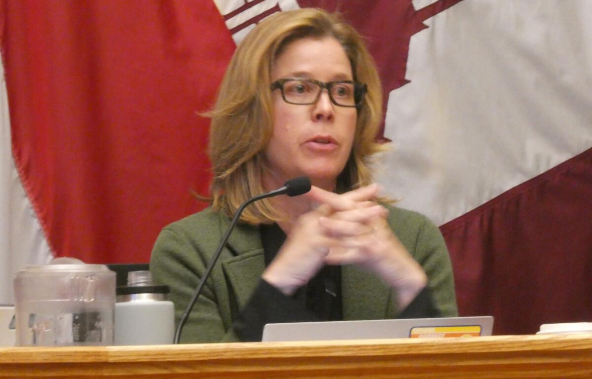 Asheville Mayor Esther Manheimer, pictured at a recent meeting, is heading to Washington, D.C., to lobby with a Task Force on Homelessness for the U.S. Conference of Mayors.