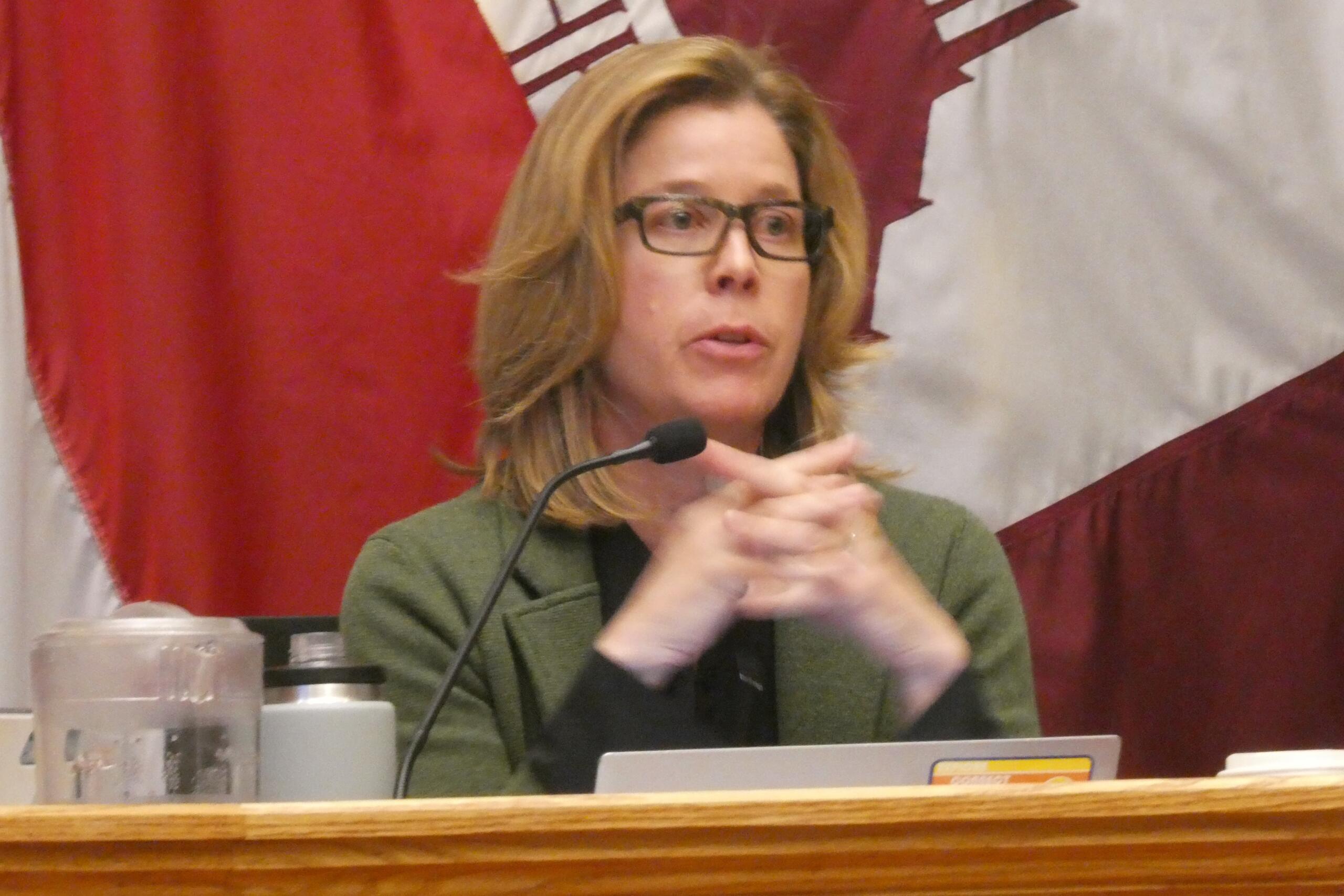 Asheville Mayor Esther Manheimer, pictured at a recent meeting, is heading to Washington, D.C., to lobby with a Task Force on Homelessness for the U.S. Conference of Mayors.