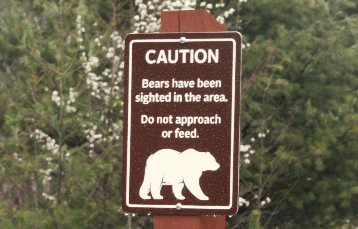 Bear warning sign