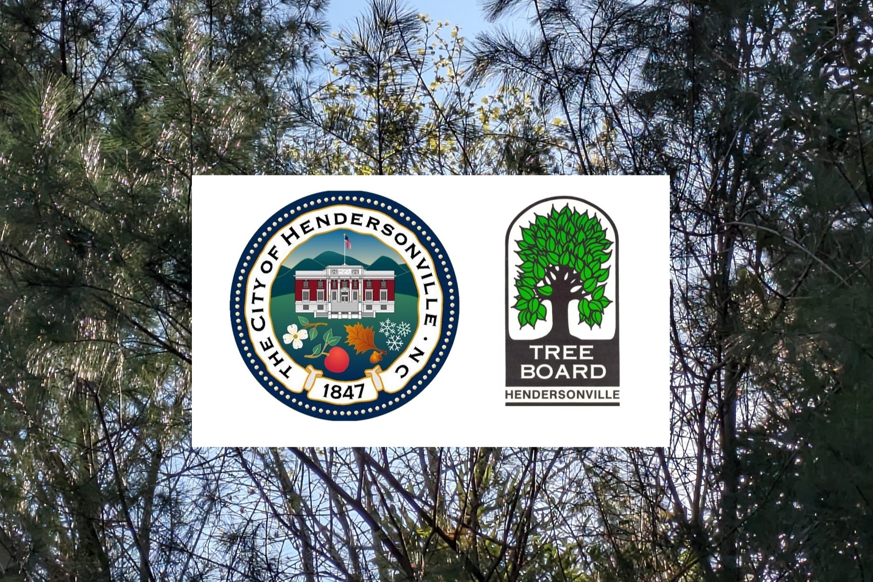 City of Hendersonville and its Tree Board