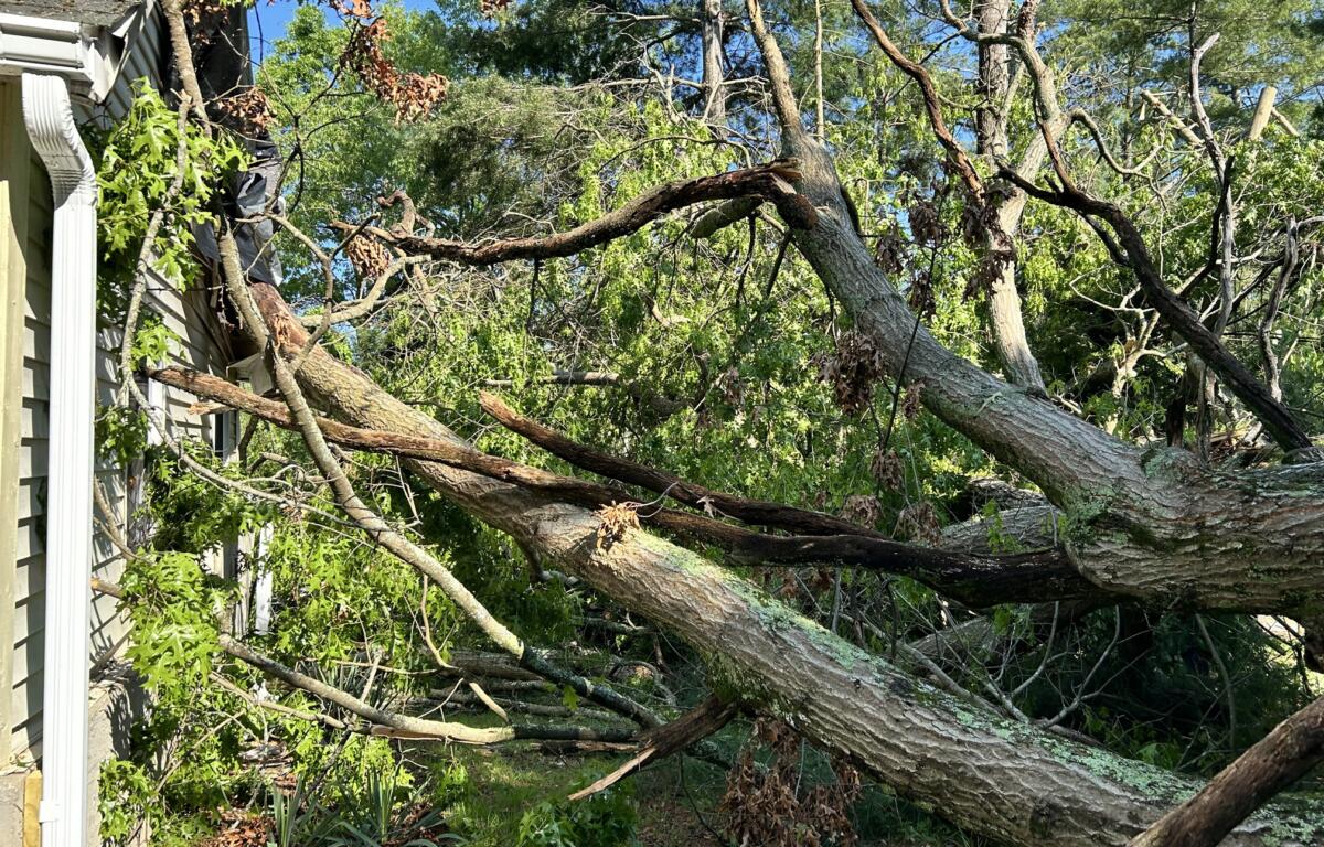 Sudden thunderstorms on Wednesday, May 8, 2024, toppled a massive tree that grazed a house in the Starnes Cove area.
