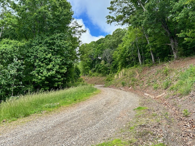 Buncombe County Commissioners next week will consider setting aside nearly $7.7 million of bond funds toward 347 acres of open space, with trails and scenic overlooks at Deaverview Mountain.