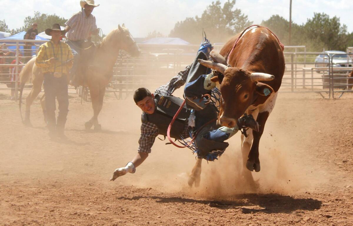 A rider takes a spill at a rodeo in Anton Chico, N.M., in 2014. (Photo by M.E. Sprengelmeyer/The Guadalupe County Communicator)