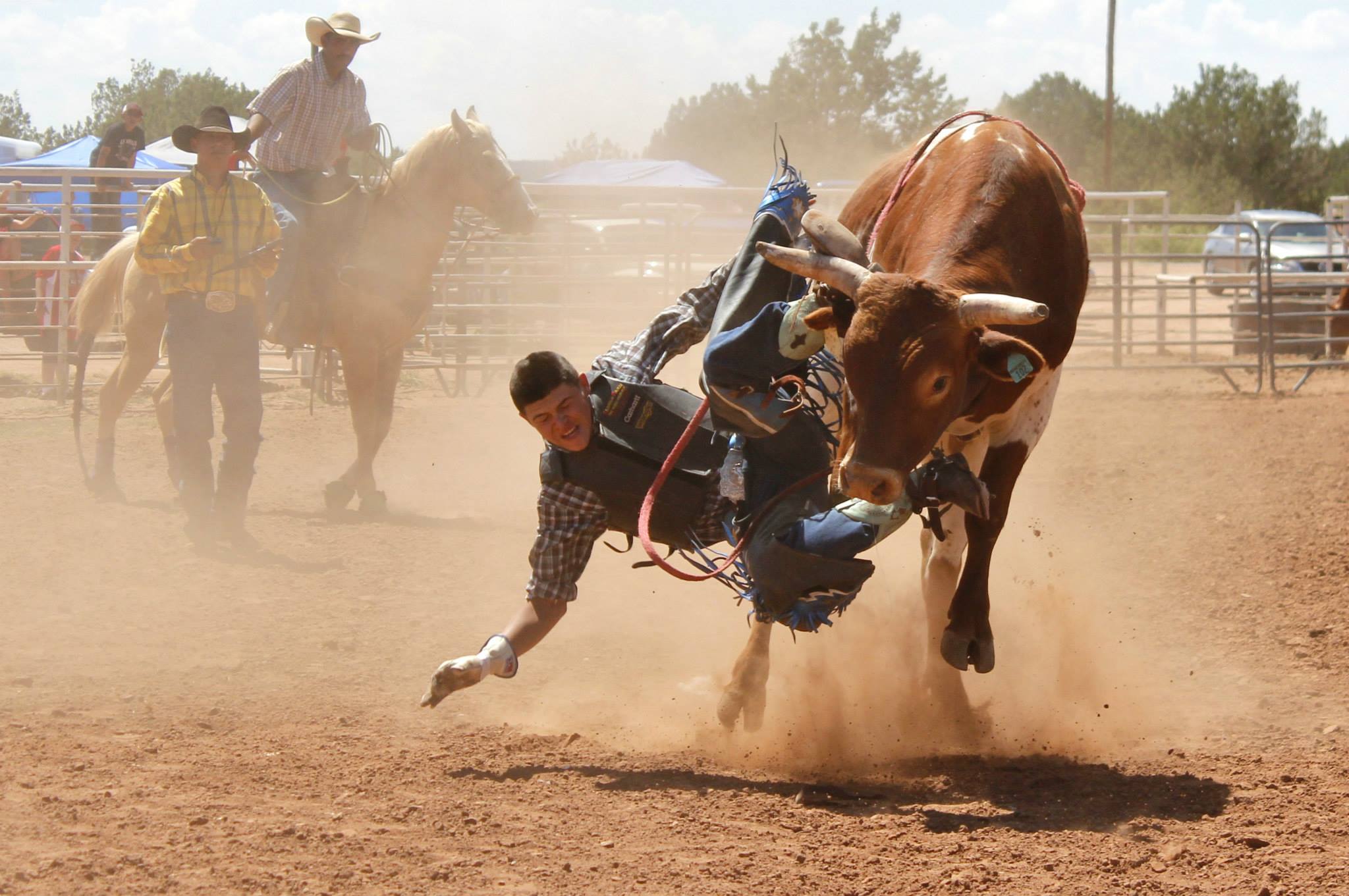 A rider takes a spill at a rodeo in Anton Chico, N.M., in 2014. (Photo by M.E. Sprengelmeyer/The Guadalupe County Communicator)