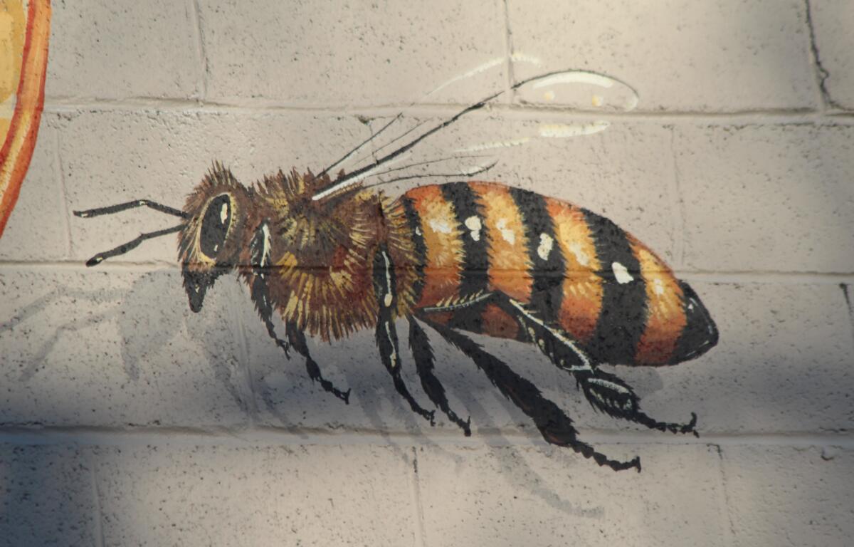 Not all bees in Weaverville are as cute and gigantic as the ones on the walls of the Honey Hive.