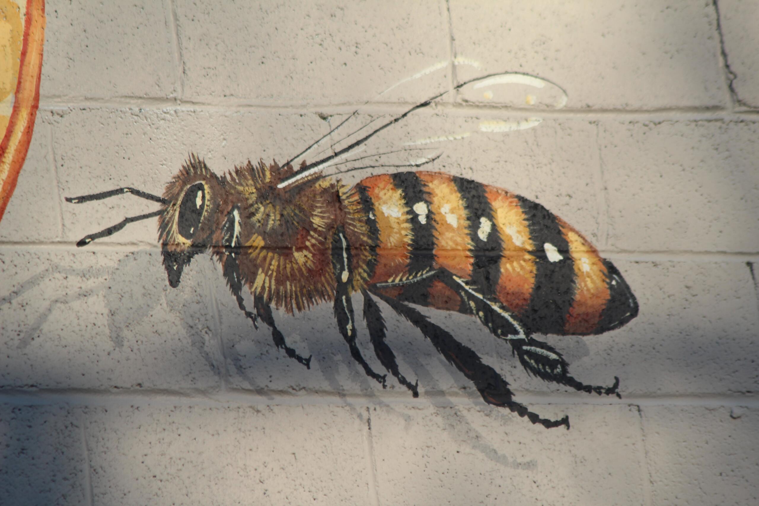 Not all bees in Weaverville are as cute and gigantic as the ones on the walls of the Honey Hive.