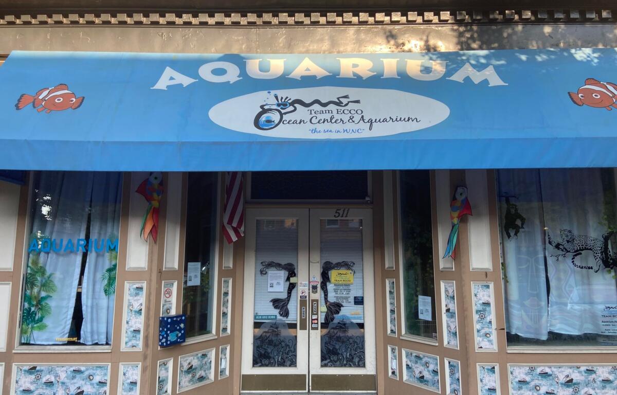 Aquarium and Shark Lab by Team ECCO