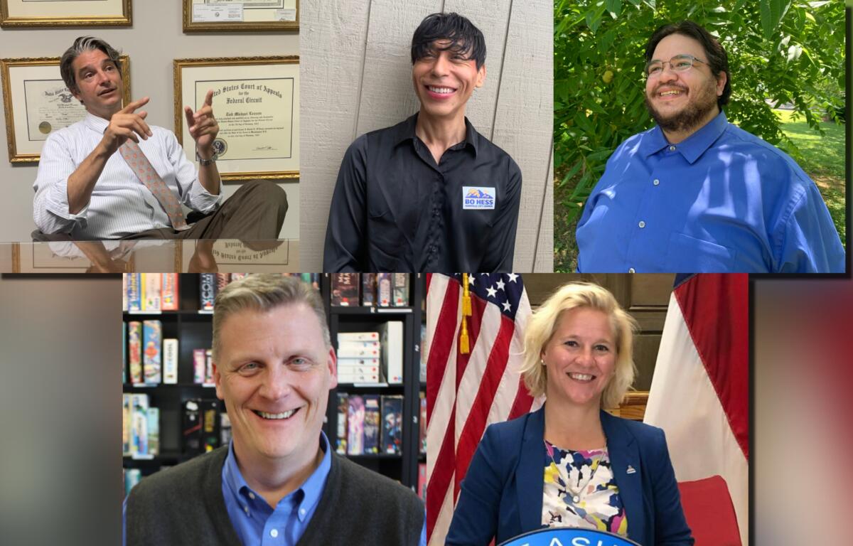 Asheville City Council 2024 candidates