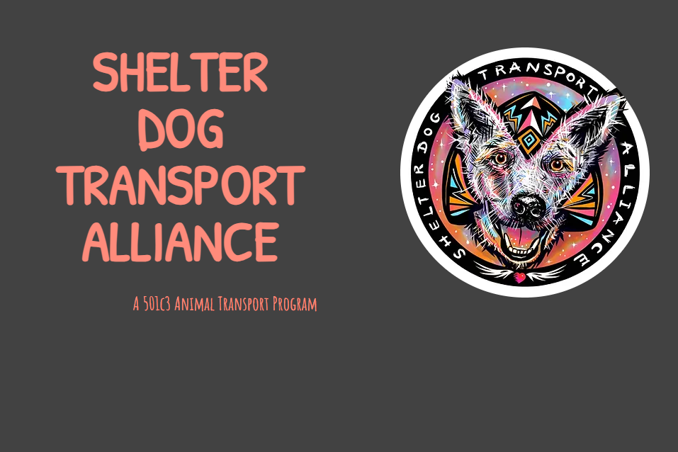 Shelter Dog Transport Alliance