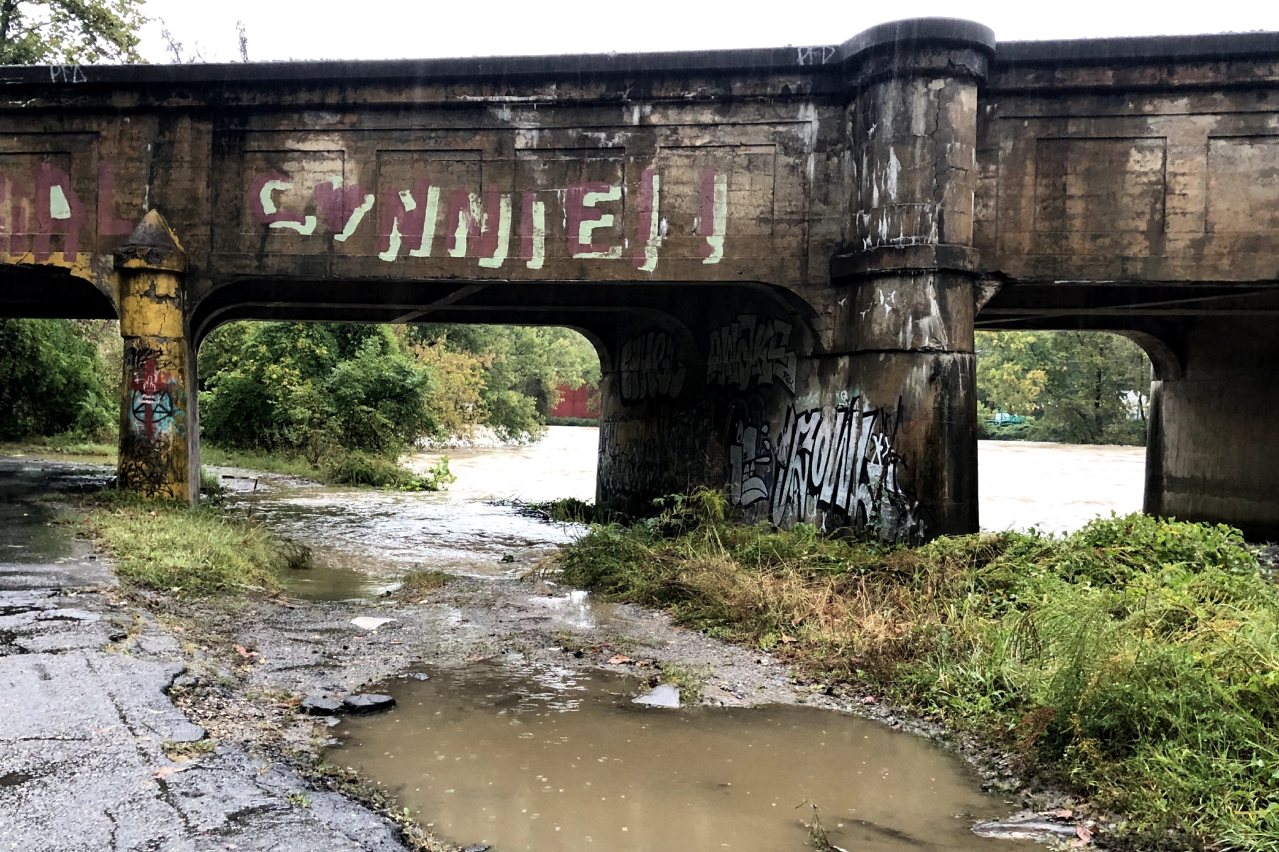 828viewsNOW: French Broad River flooding