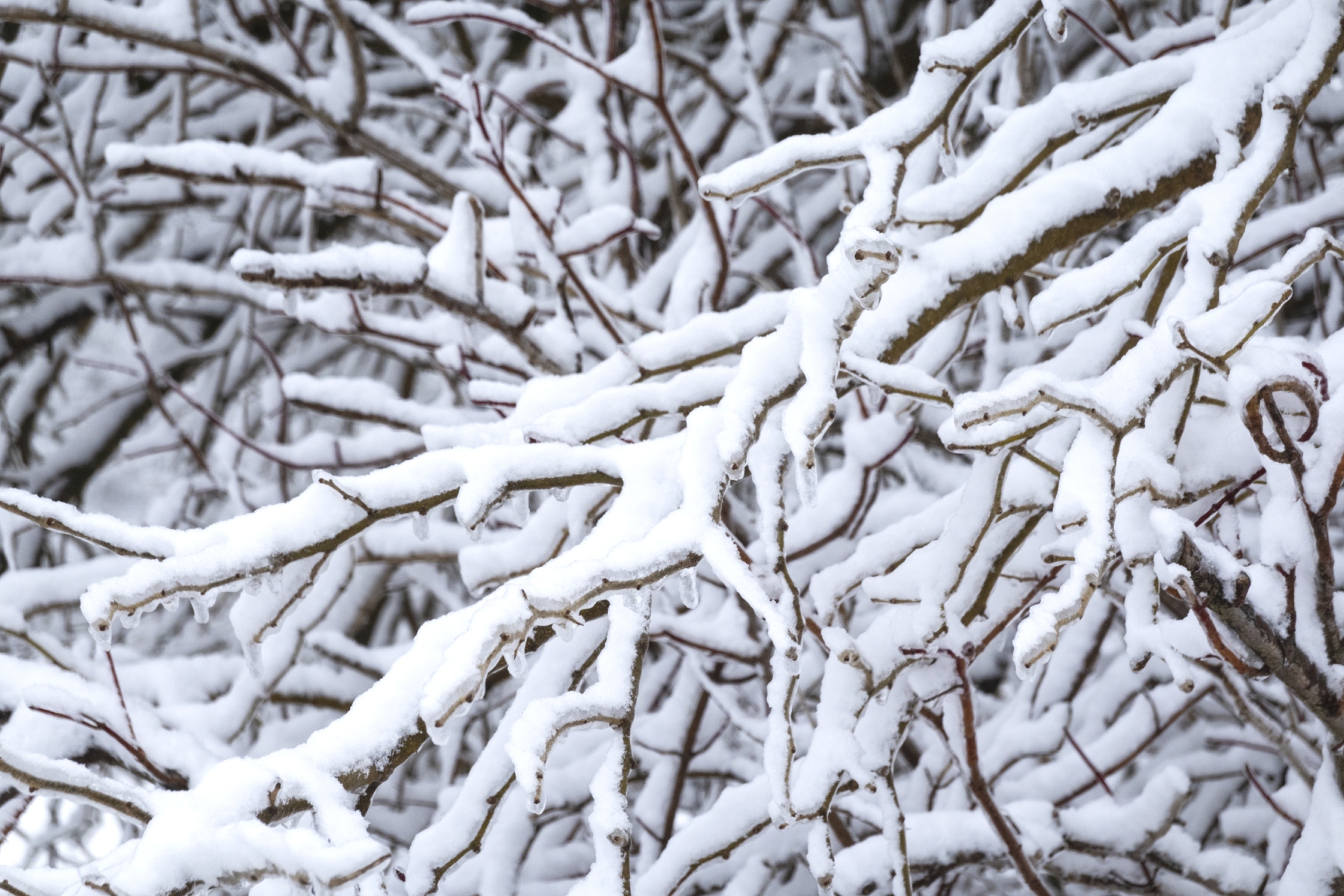 Metro snow