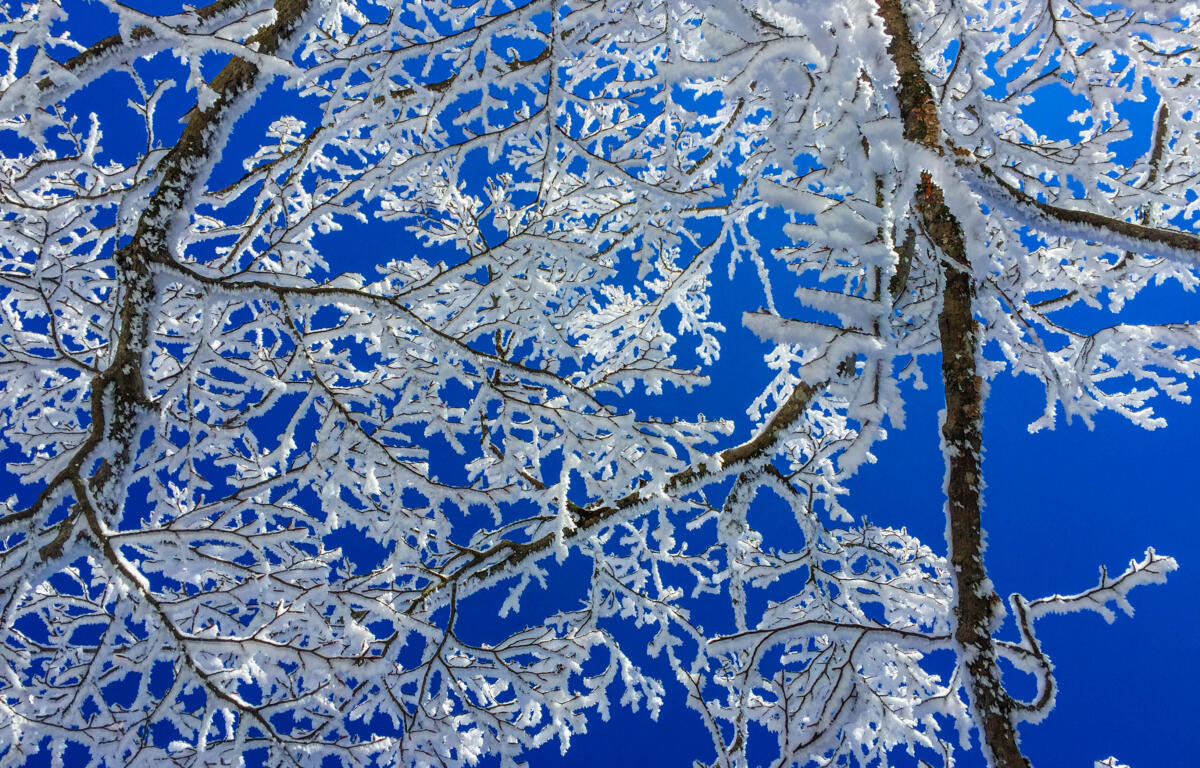 Snow