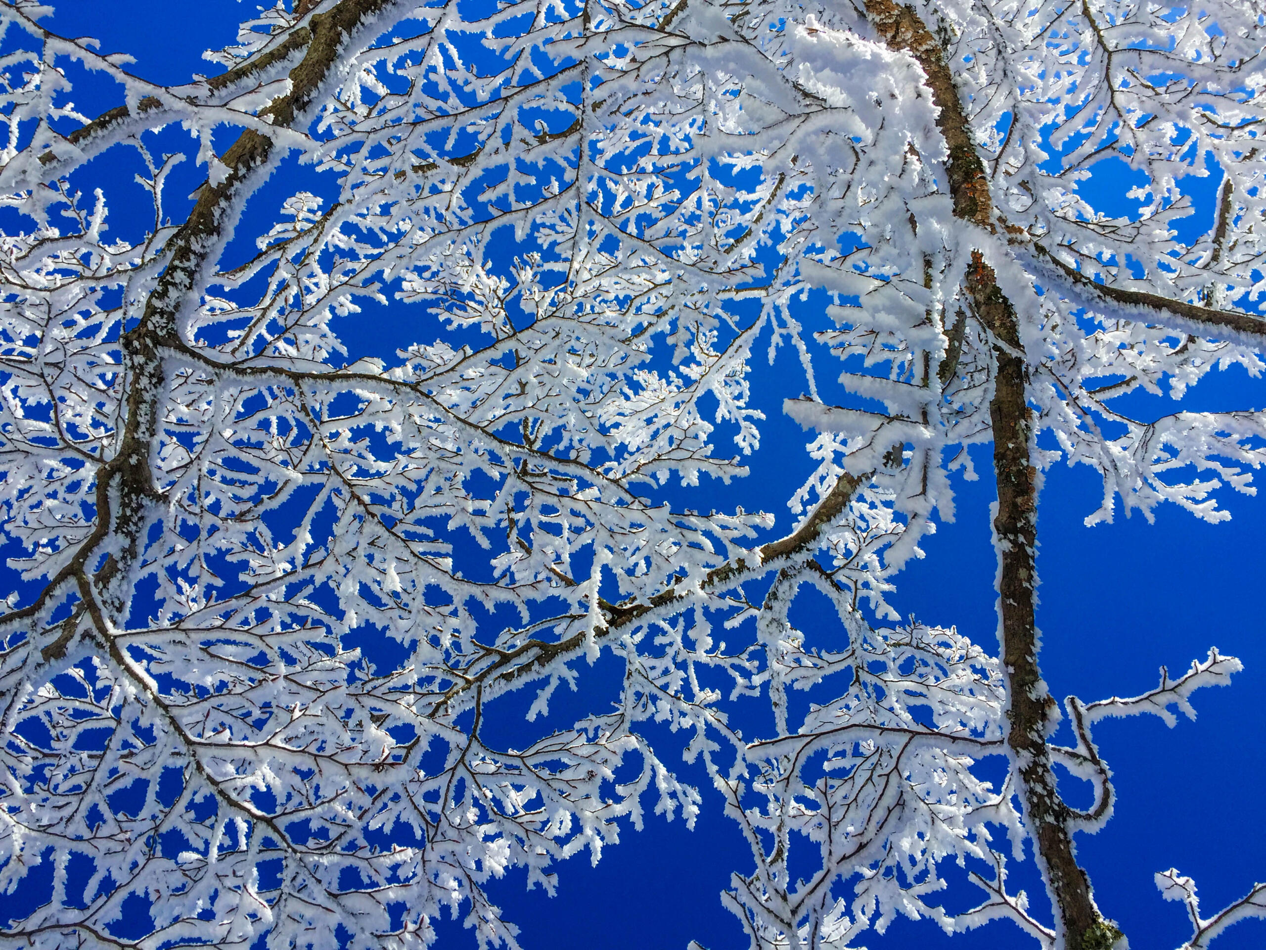Snow