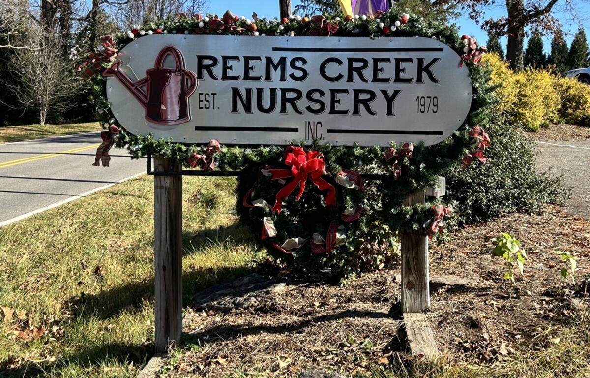 Reems Creek Nursery Weaverville What to do in the 828