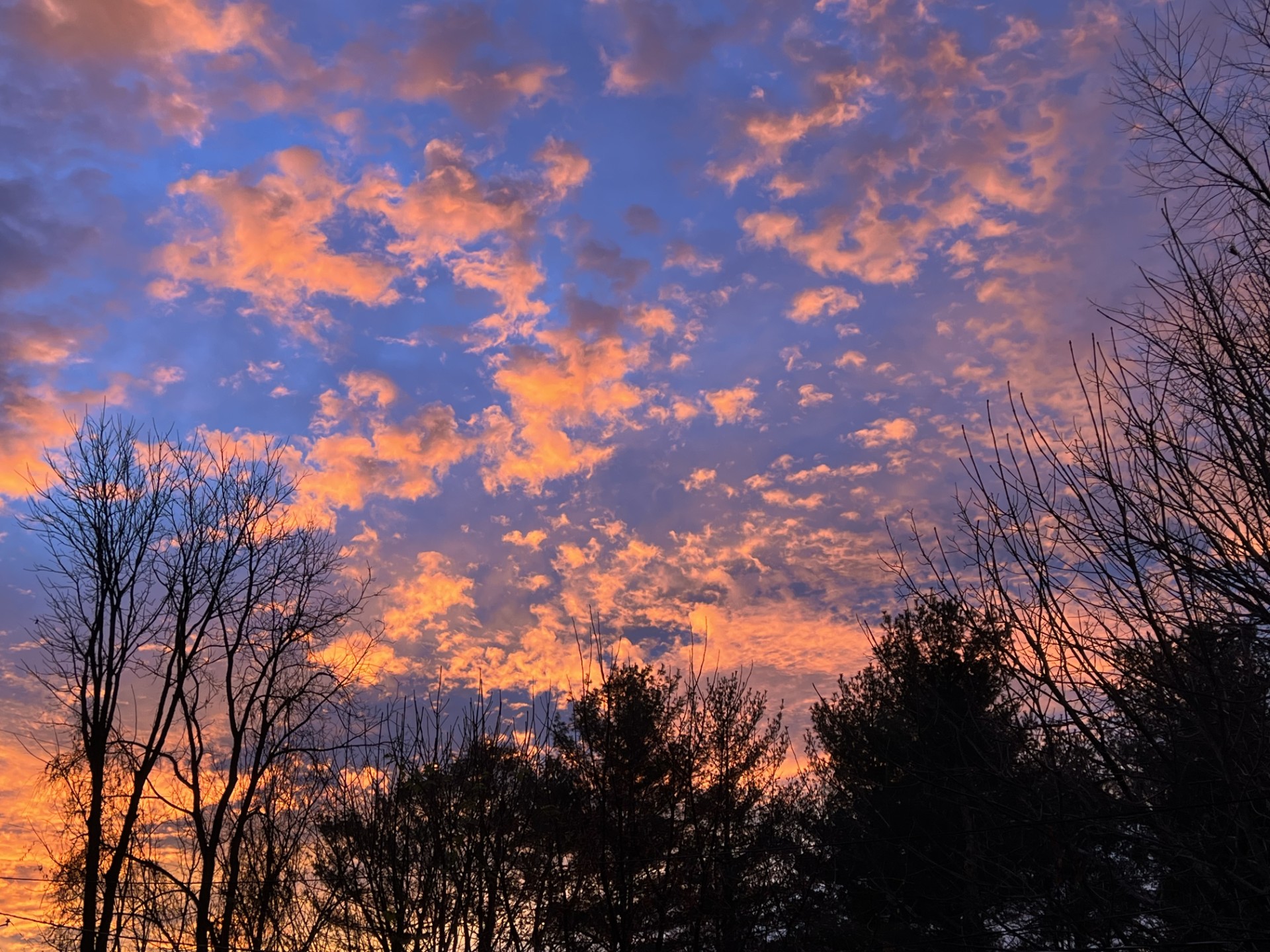 828 forecast