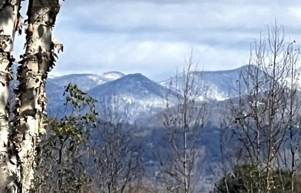 Asheville snow forecast