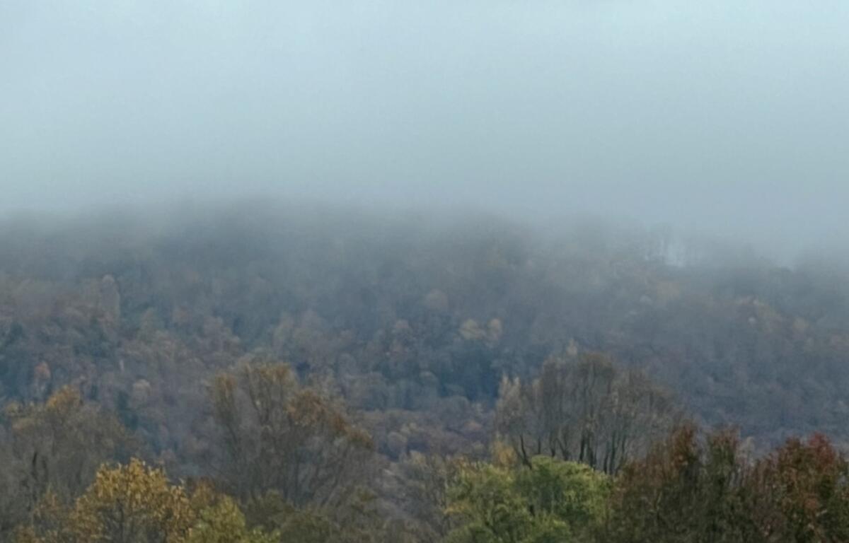 Foggy day Fletcher