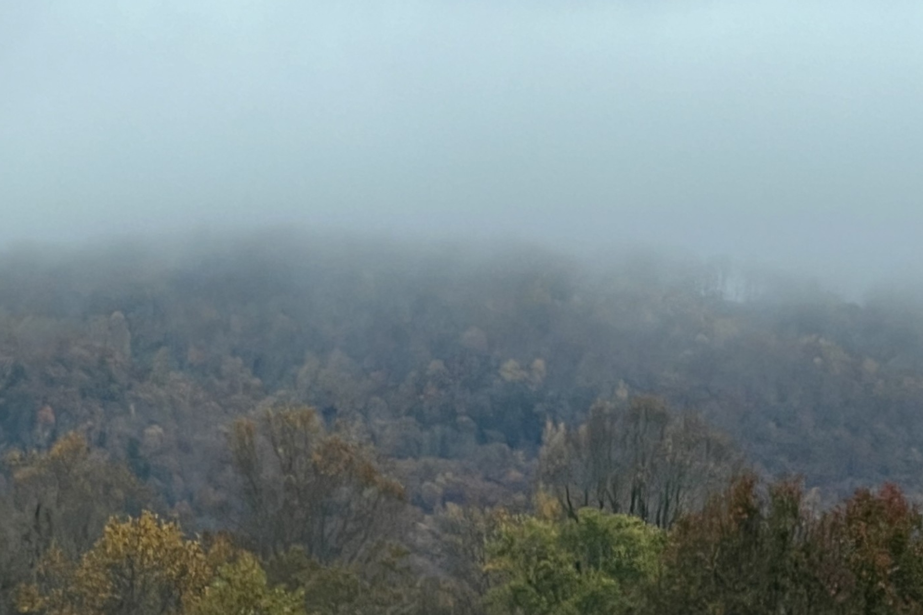 Foggy day Fletcher