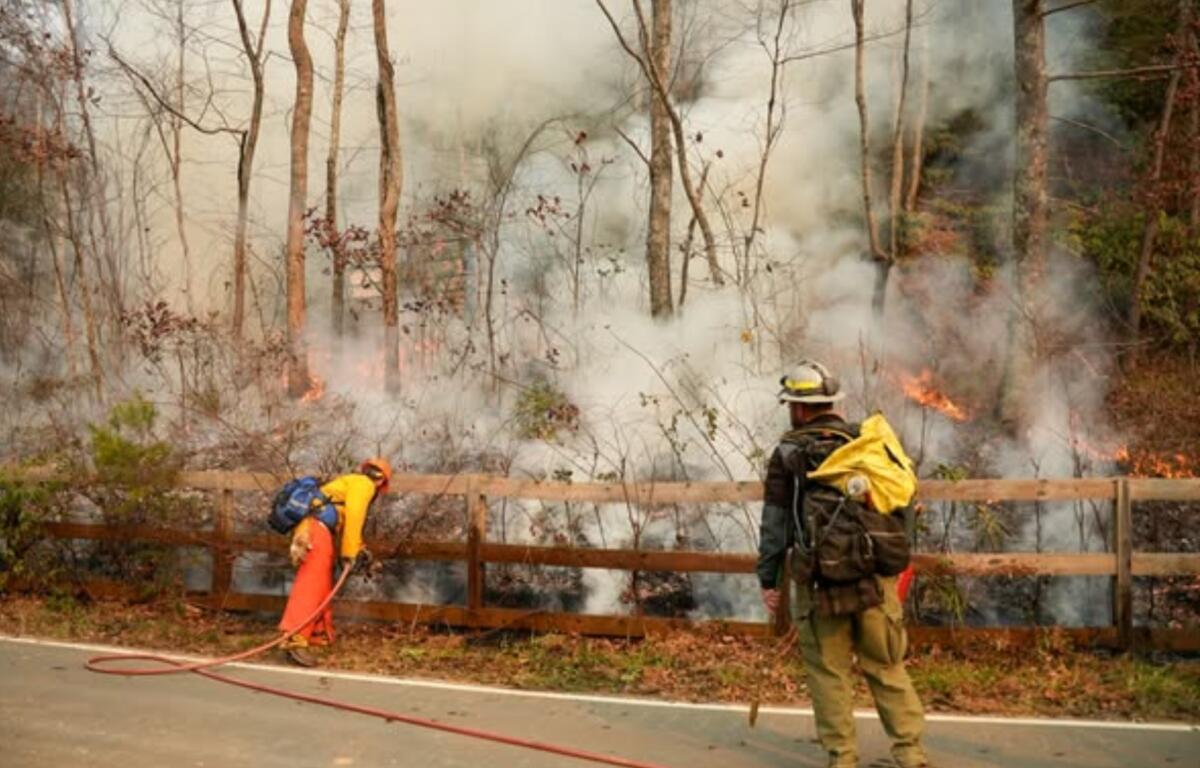 Burnout operations on the Buck Creek Fire. (Photo credit: Dana Hodde and Chris Brubaker/U.S. Forest Service)