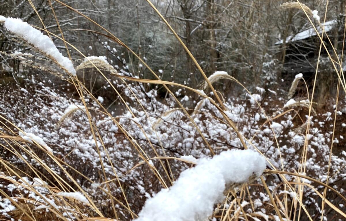Winter weather