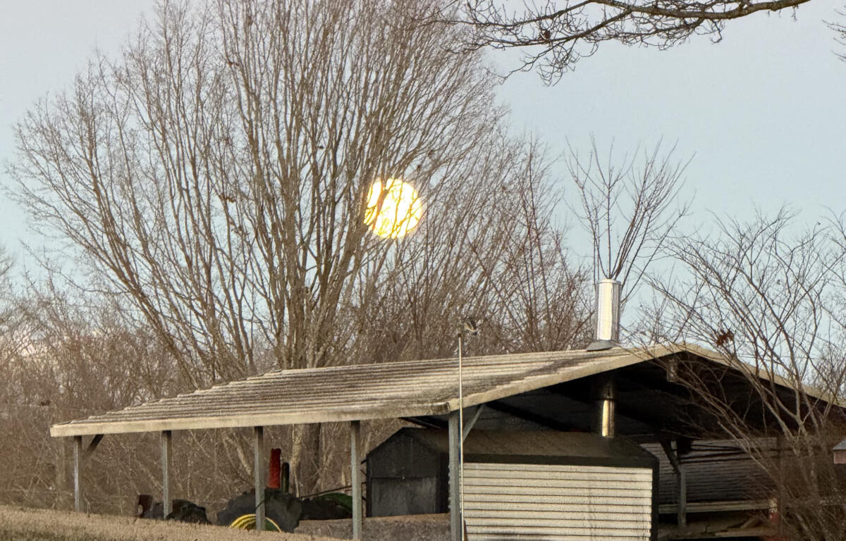 moon farm evening
