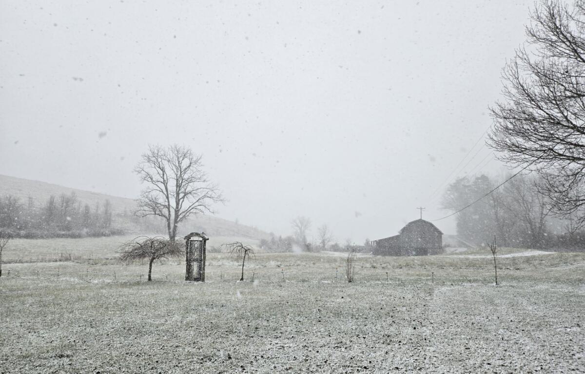 Winter snow in Alexander
