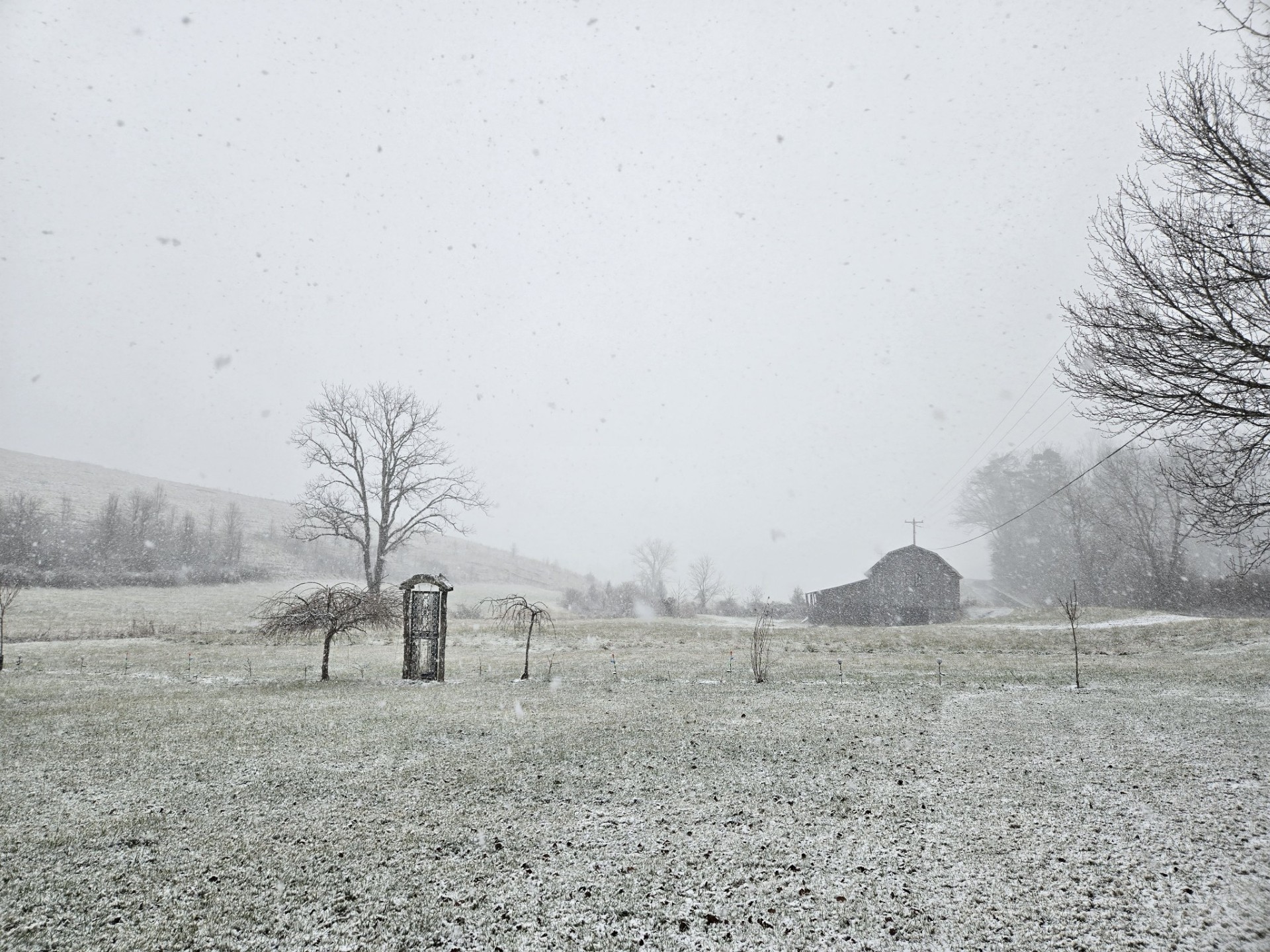 Winter snow in Alexander