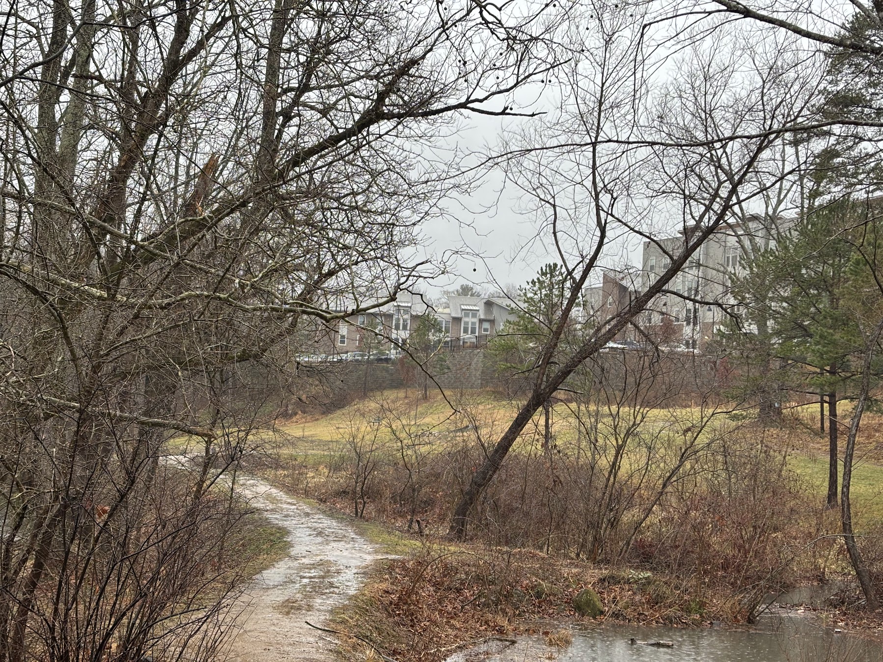 UNCA’s plans for the woods include stadium, mixed-use housing
