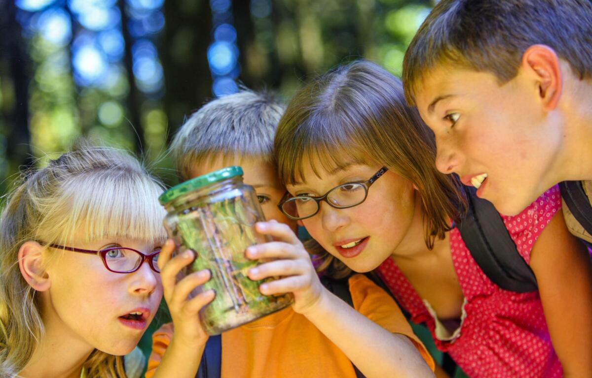 There are many summer camps in the Asheville area that cater to kids who enjoy athletics or the outdoors. (Photo credit: Metro Creative Graphics)