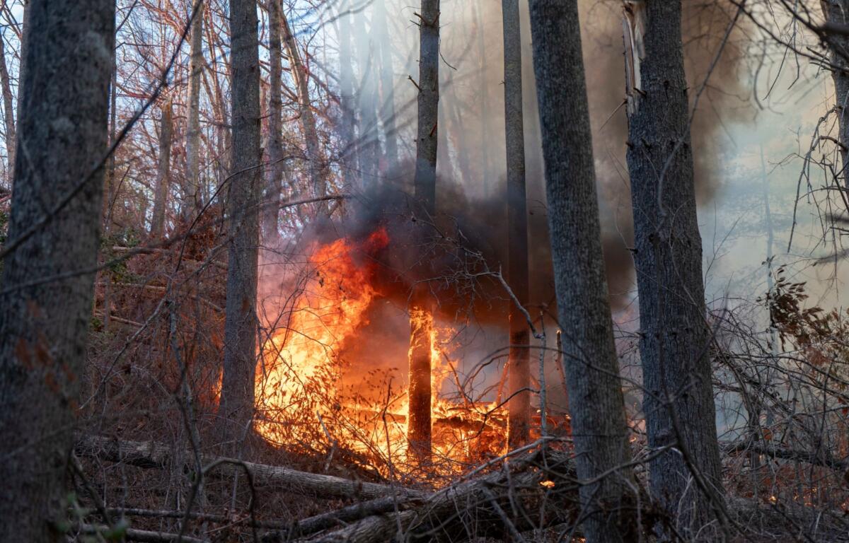 FILE - The Black Cove Fire burns, March 26, 2025, in Saluda, N.C. (AP Photo/Allison Joyce, File)