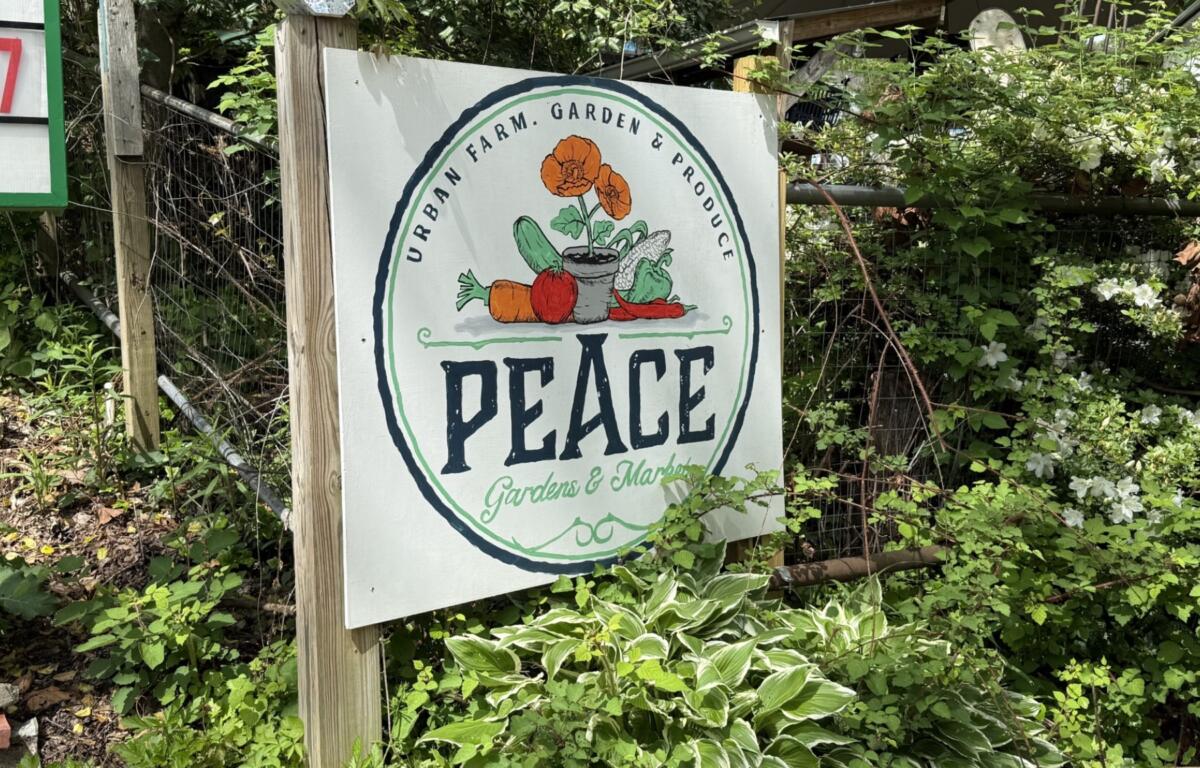 Peace Gardens & Market is an eclectic space featuring gardens, art installations and cultural history.