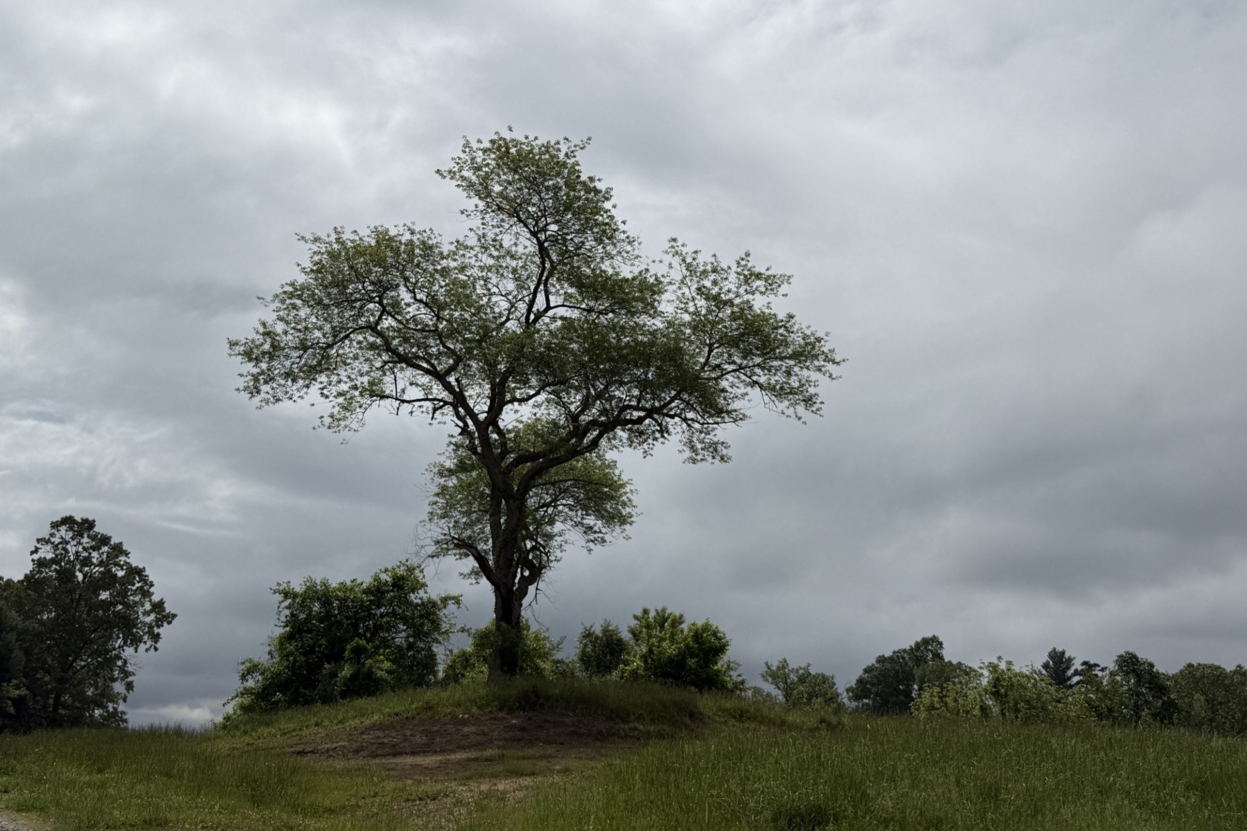 Cloudy skies