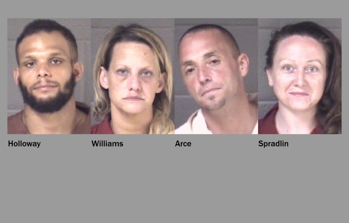 Credit card fraud arrests
