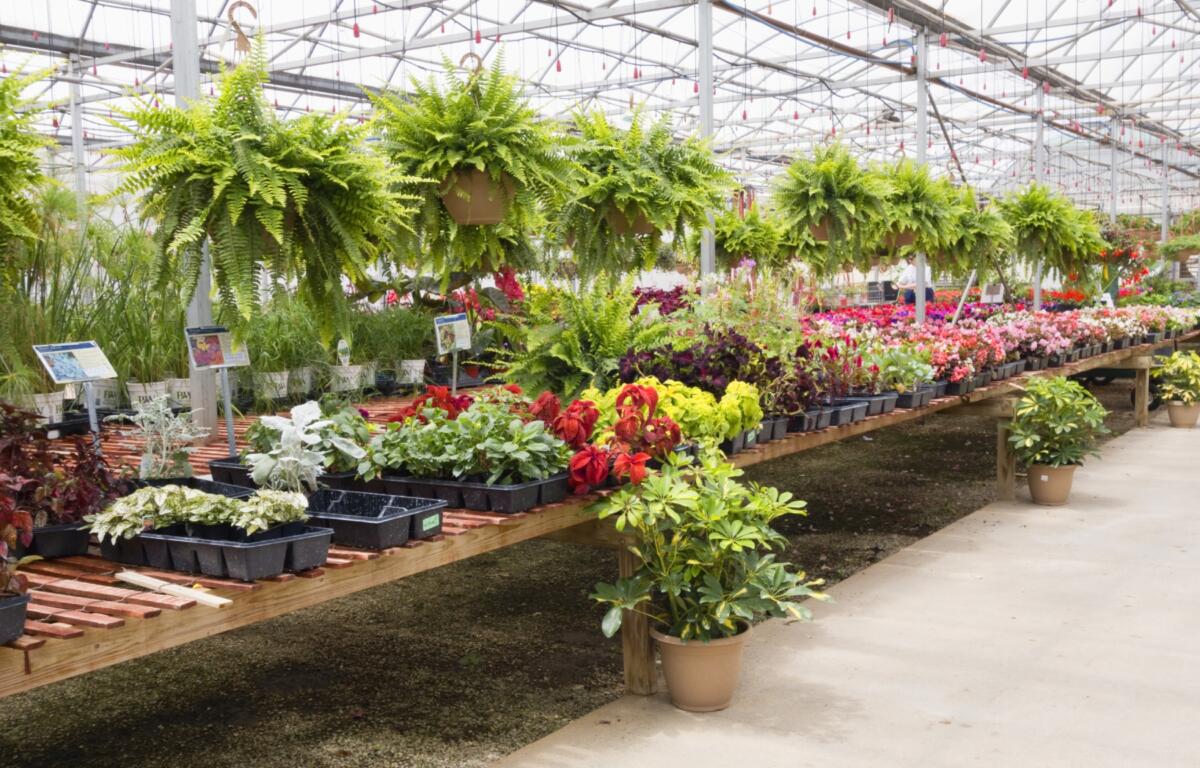 There are a variety of nurseries and garden centers in the area to help you cultivate a thriving home garden