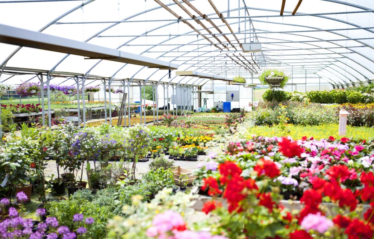 There are a variety of nurseries and garden centers in the area to help you cultivate a thriving home garden