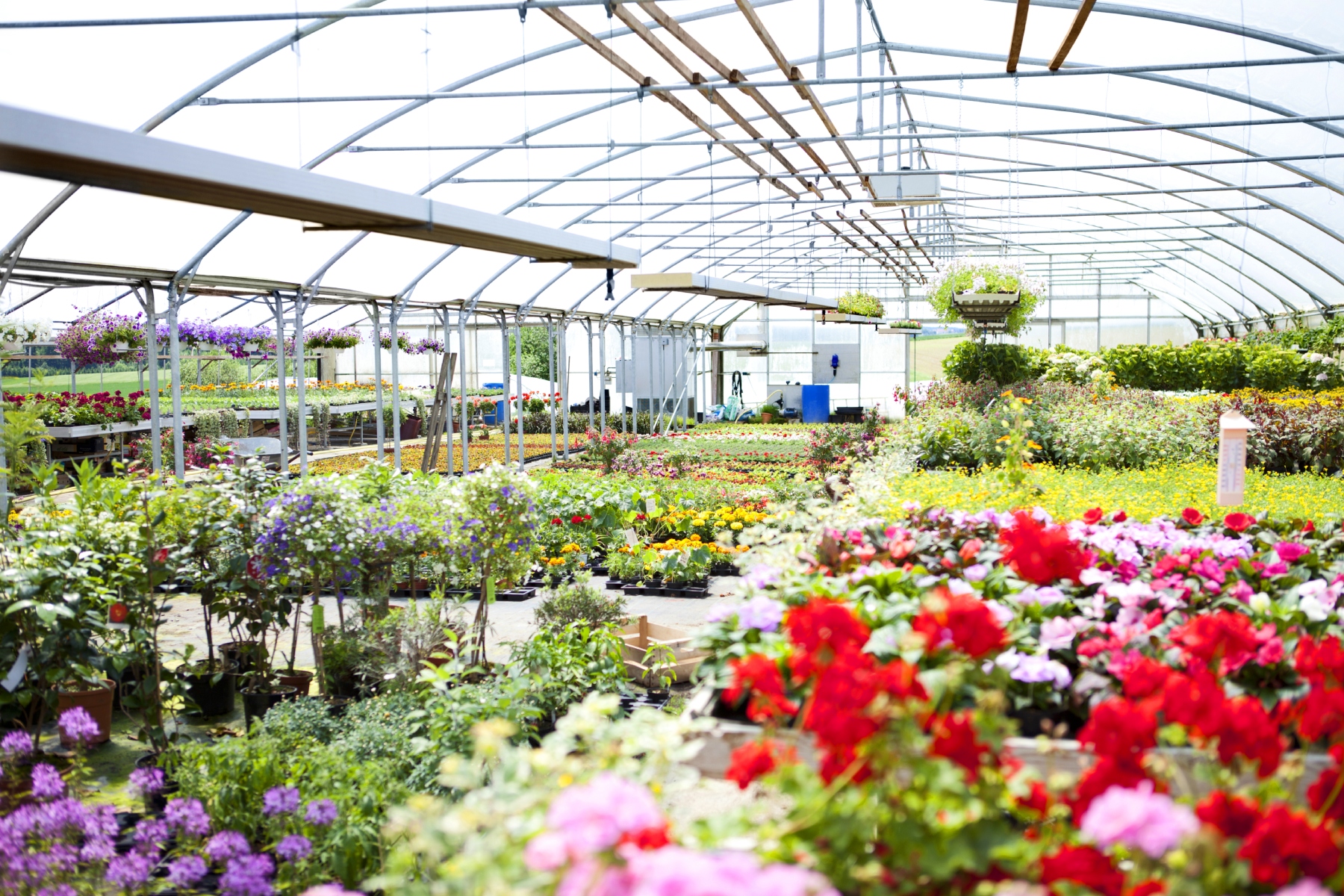 There are a variety of nurseries and garden centers in the area to help you cultivate a thriving home garden