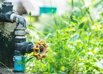 An image of a hose pipe against a bright green lawn.