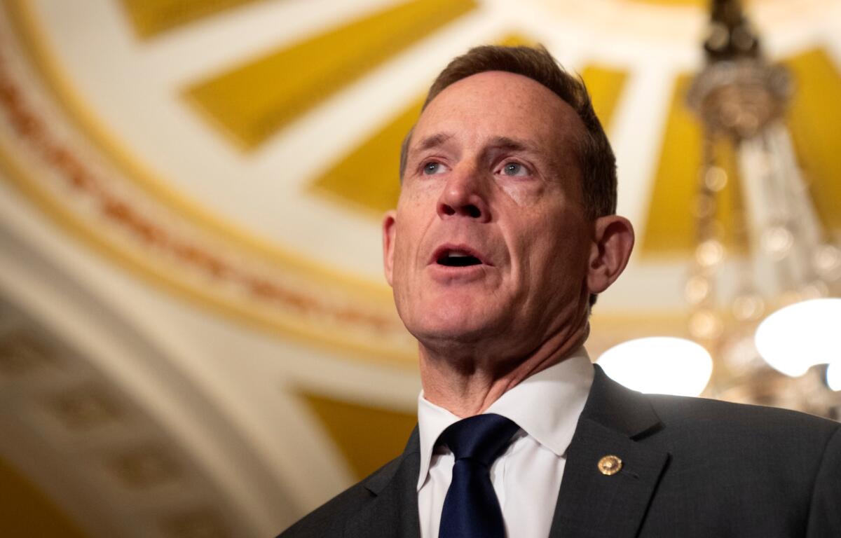 Sen. Ted Budd, R-N.C., speaks to reporters on Capitol Hill, Tuesday, Jan. 14, 2025, in Washington. (AP Photo/Mark Schiefelbein)