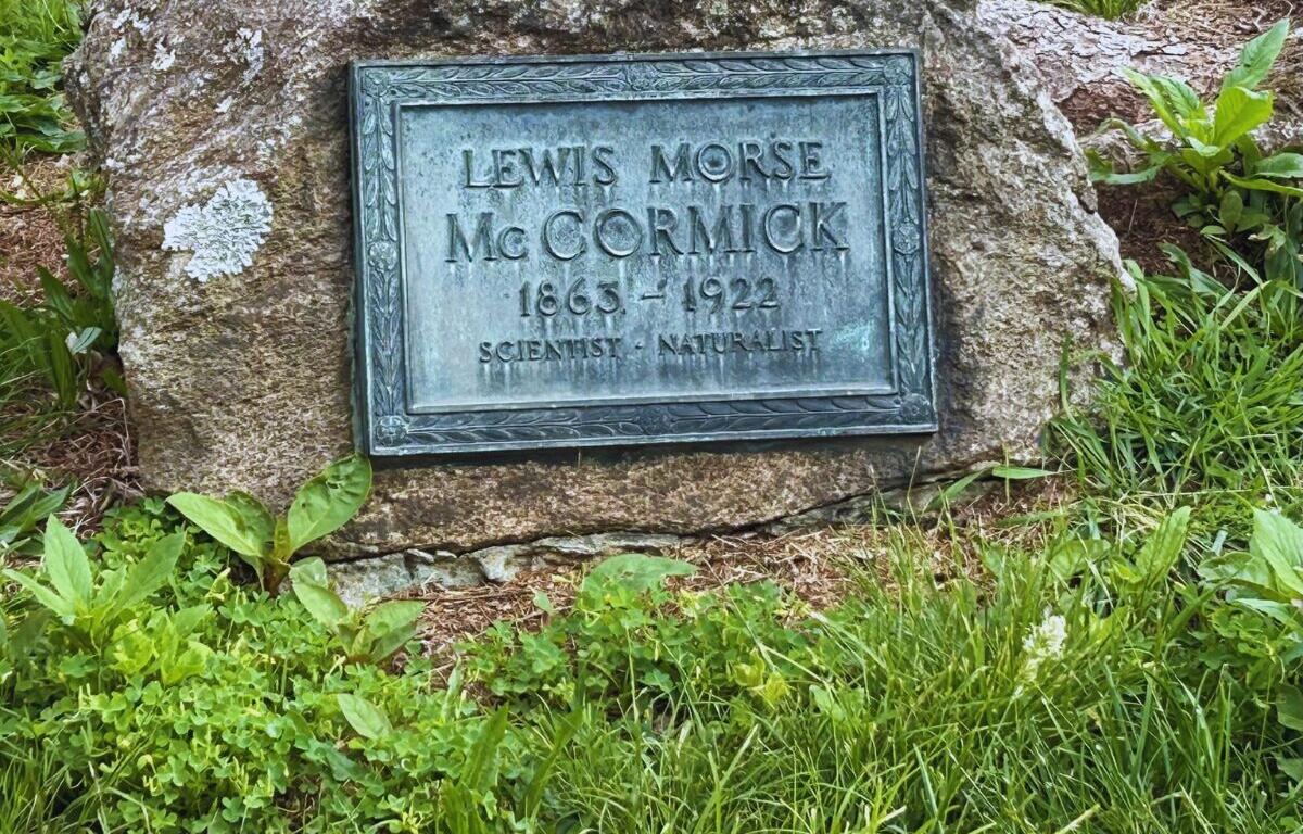 Bronze plaque set in a rock reads: Lewis Morse McCormick 1865–1922, Scientist • Naturalist, surrounded by green plants and grass.