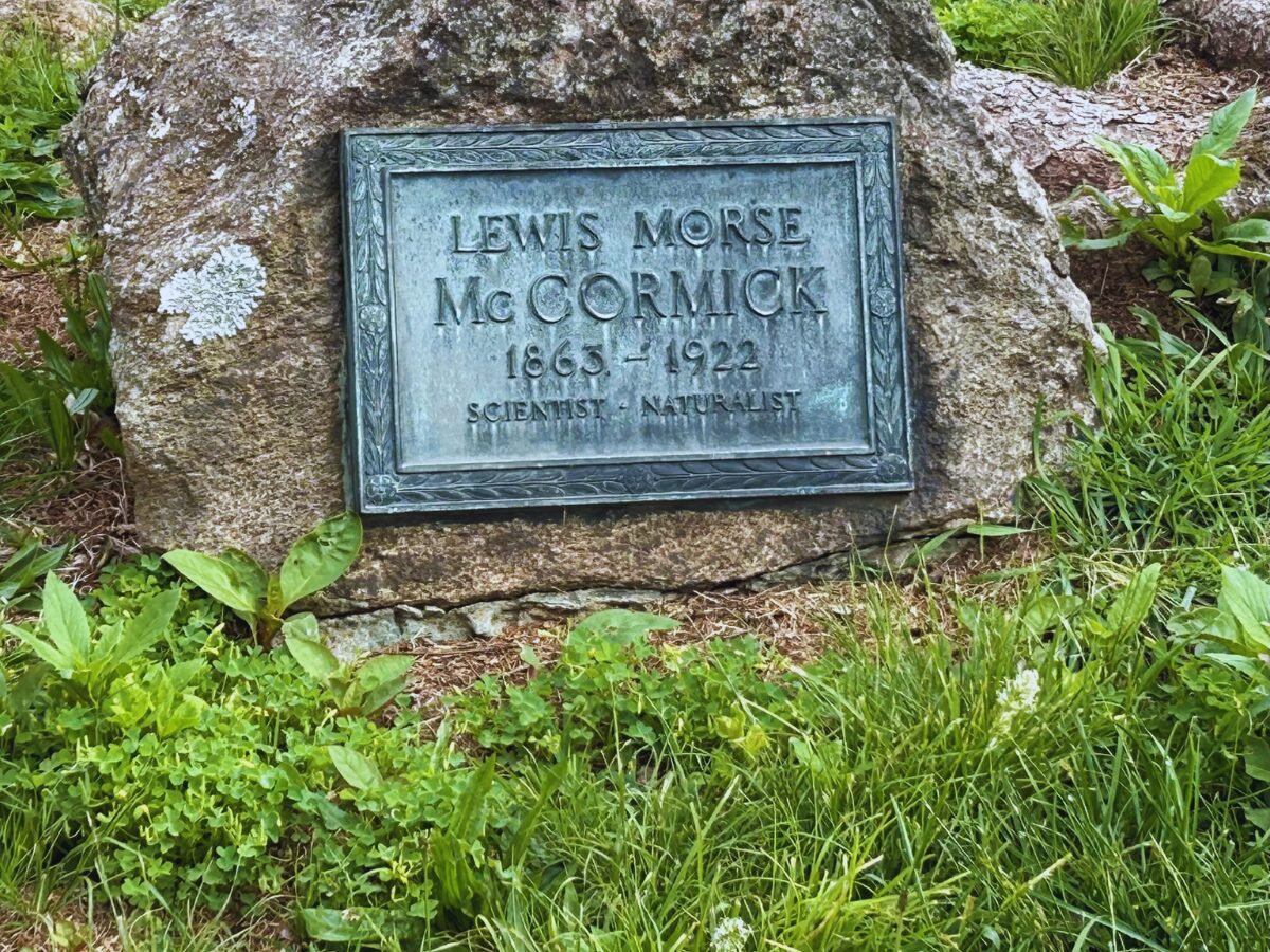 Bronze plaque set in a rock reads: Lewis Morse McCormick 1865–1922, Scientist • Naturalist, surrounded by green plants and grass.