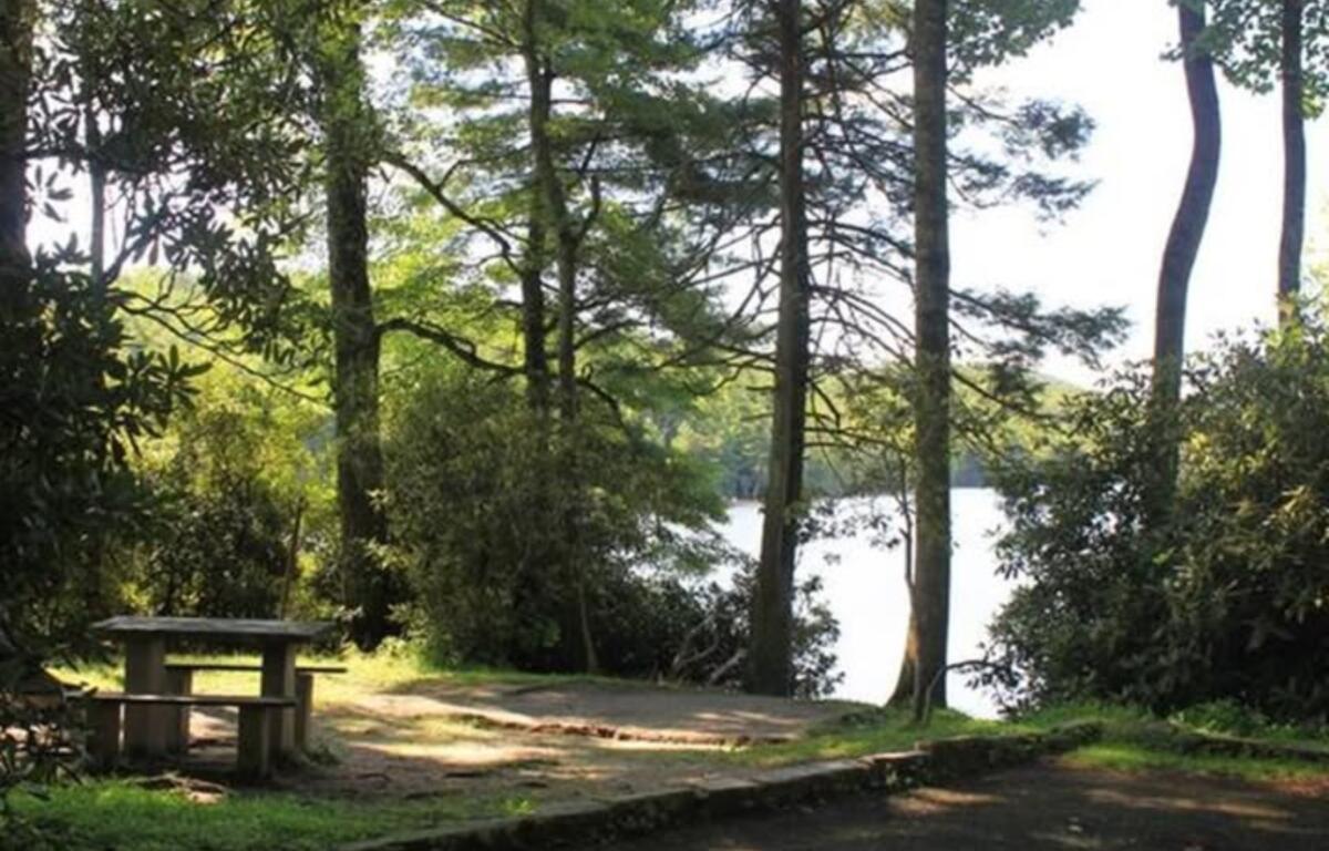 A campsite in Loop A of Julian Price Campground