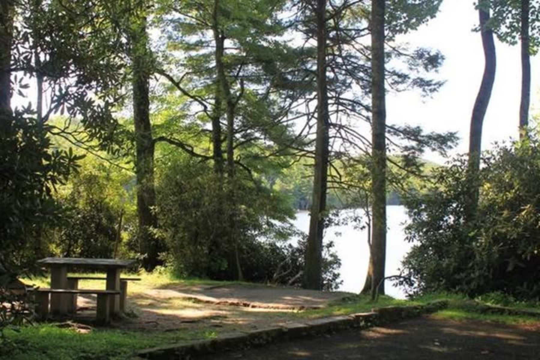 A campsite in Loop A of Julian Price Campground