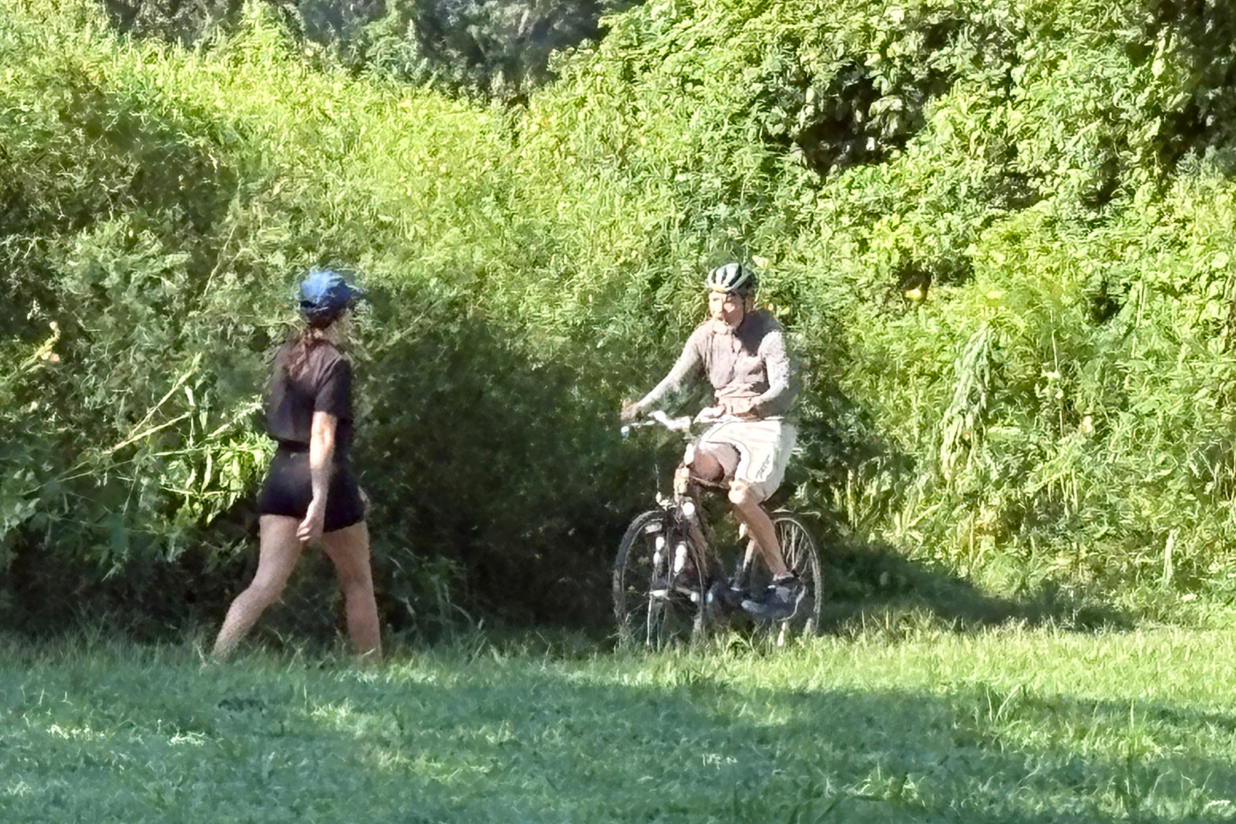 Asheville is gearing up for its annual bike and pedestrian data collection.