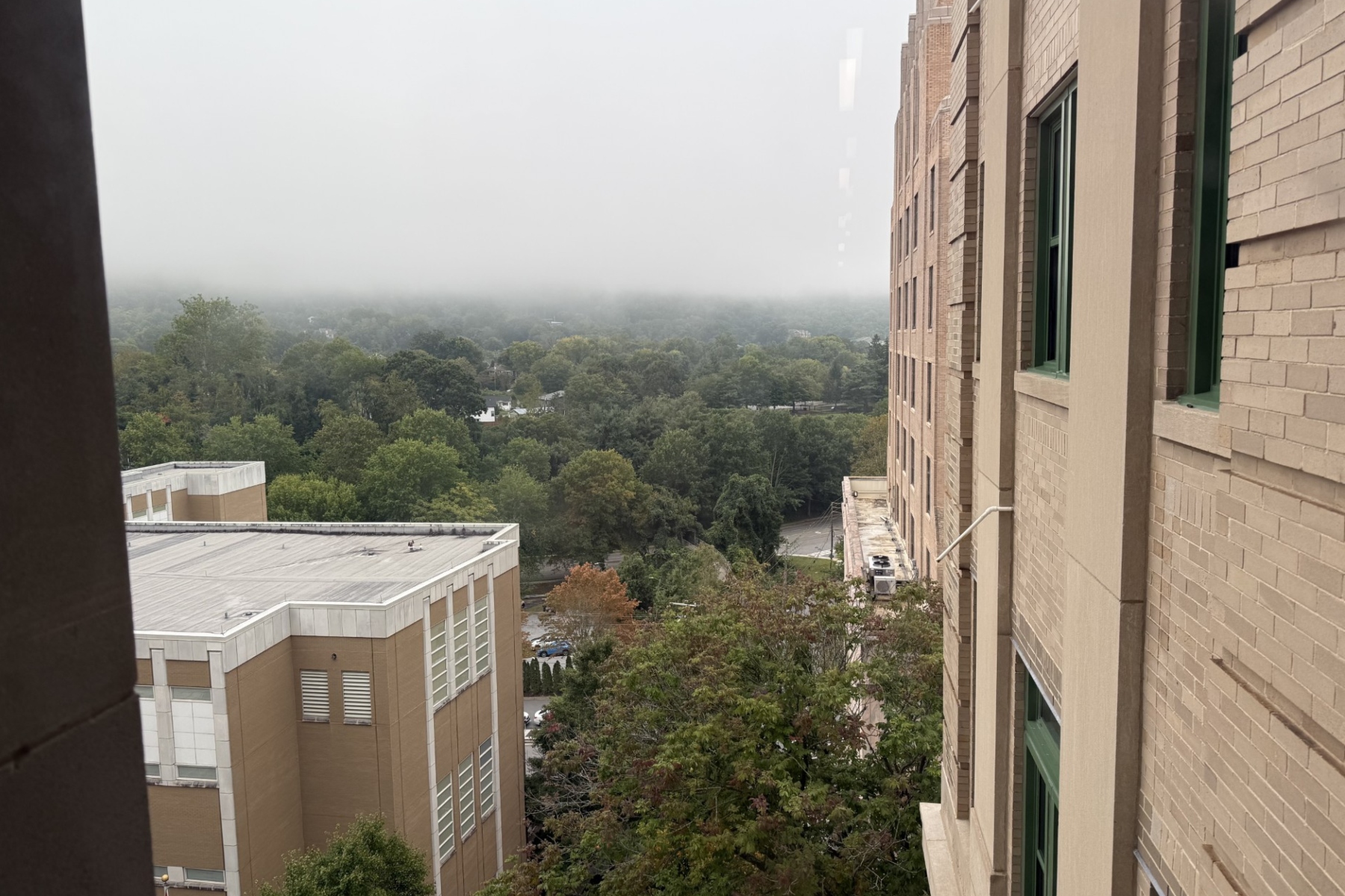 Morning fog seen from from the fifth floor window of the Buncombe County Courthouse
