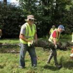 NPS volunteers clear Hurricane Helene storm damage from Julian Price Campground. Photo by NPS volunteer B.Owens.