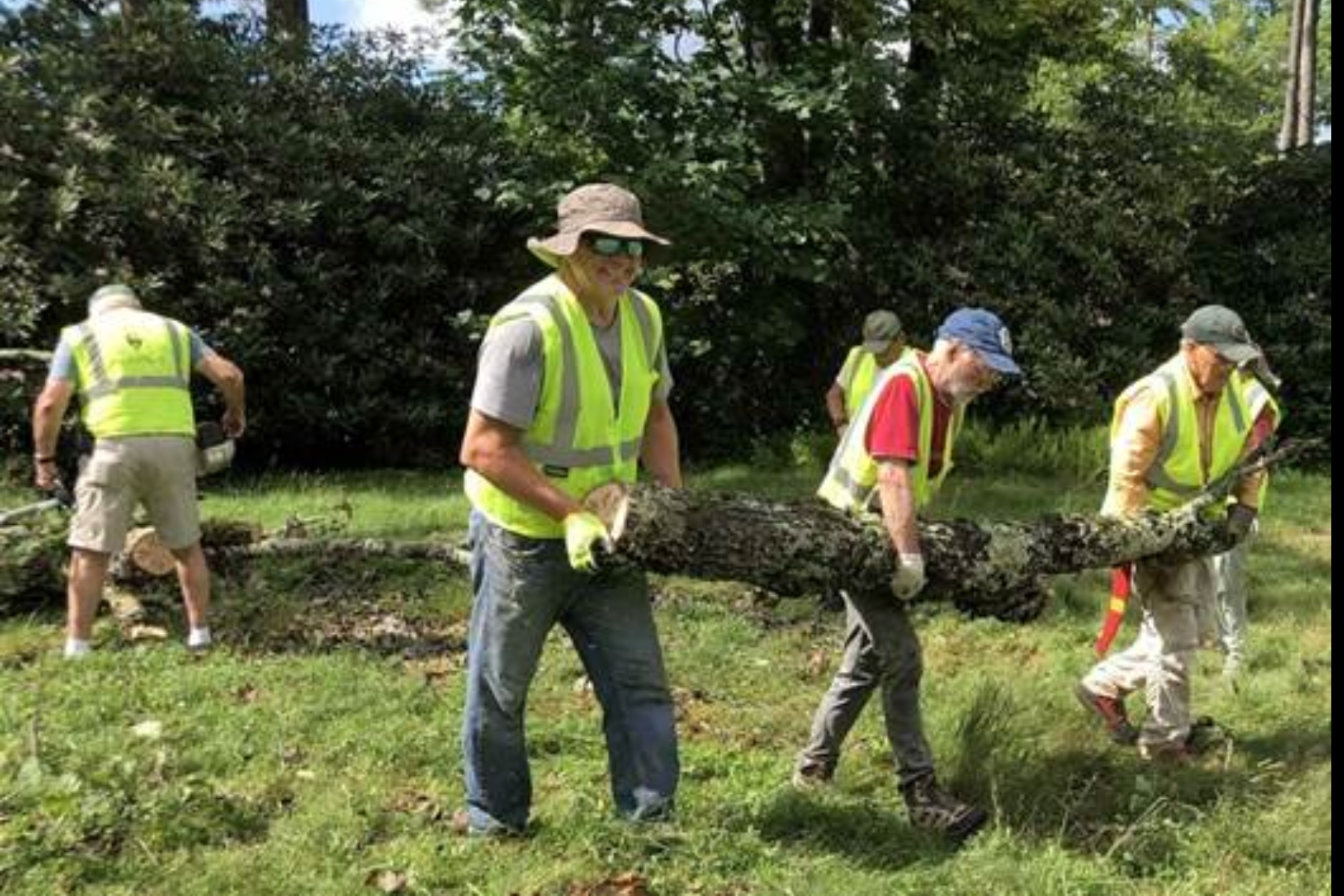 NPS volunteers clear Hurricane Helene storm damage from Julian Price Campground. Photo by NPS volunteer B.Owens.