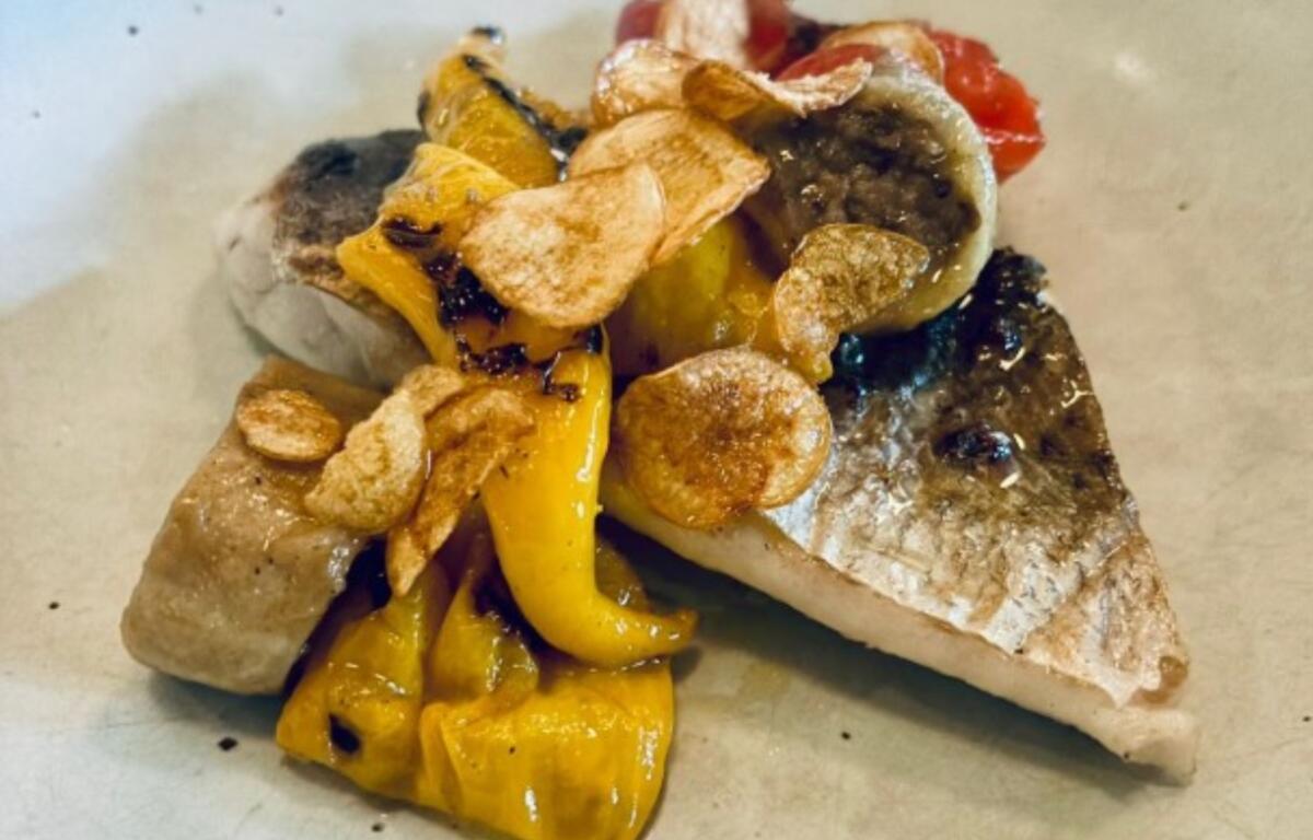 Speckled ocean trout